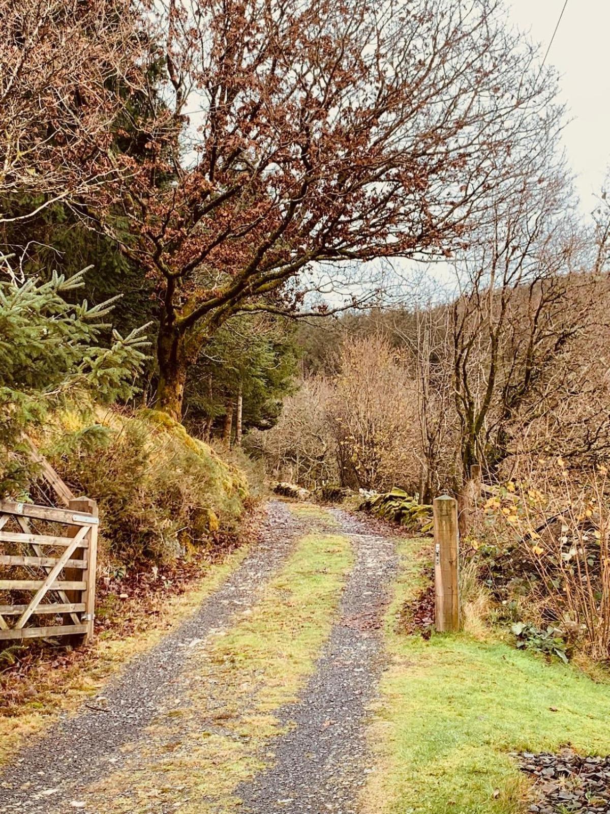 Tyn Y Simdde - Secluded Mountain Stay - Stunning Views Of Eryri Dolgellau Exterior photo