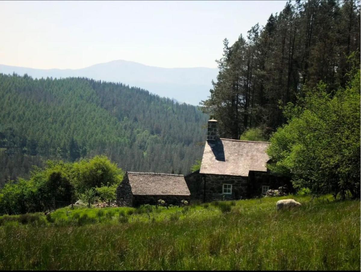 Tyn Y Simdde - Secluded Mountain Stay - Stunning Views Of Eryri Dolgellau Exterior photo